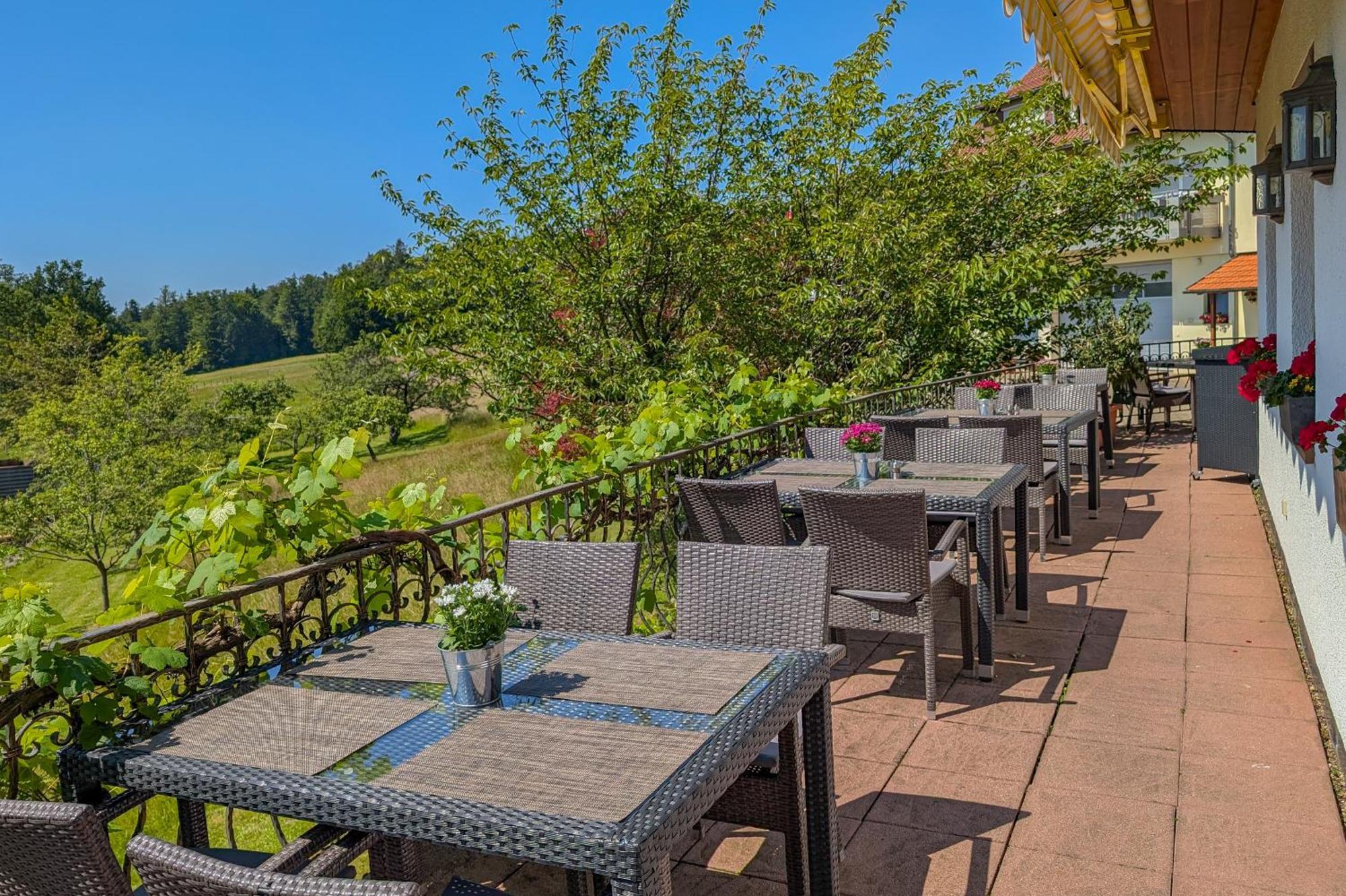 Hotel Restaurant Vinothek Lamm บัดแฮร์เรนอัลบ์ ภายนอก รูปภาพ